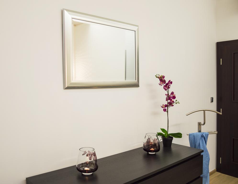 Luxury Apartments Pricna プラハ エクステリア 写真